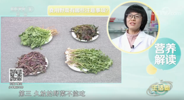 春天保举这4种野菜，怎么正确食用？请保藏